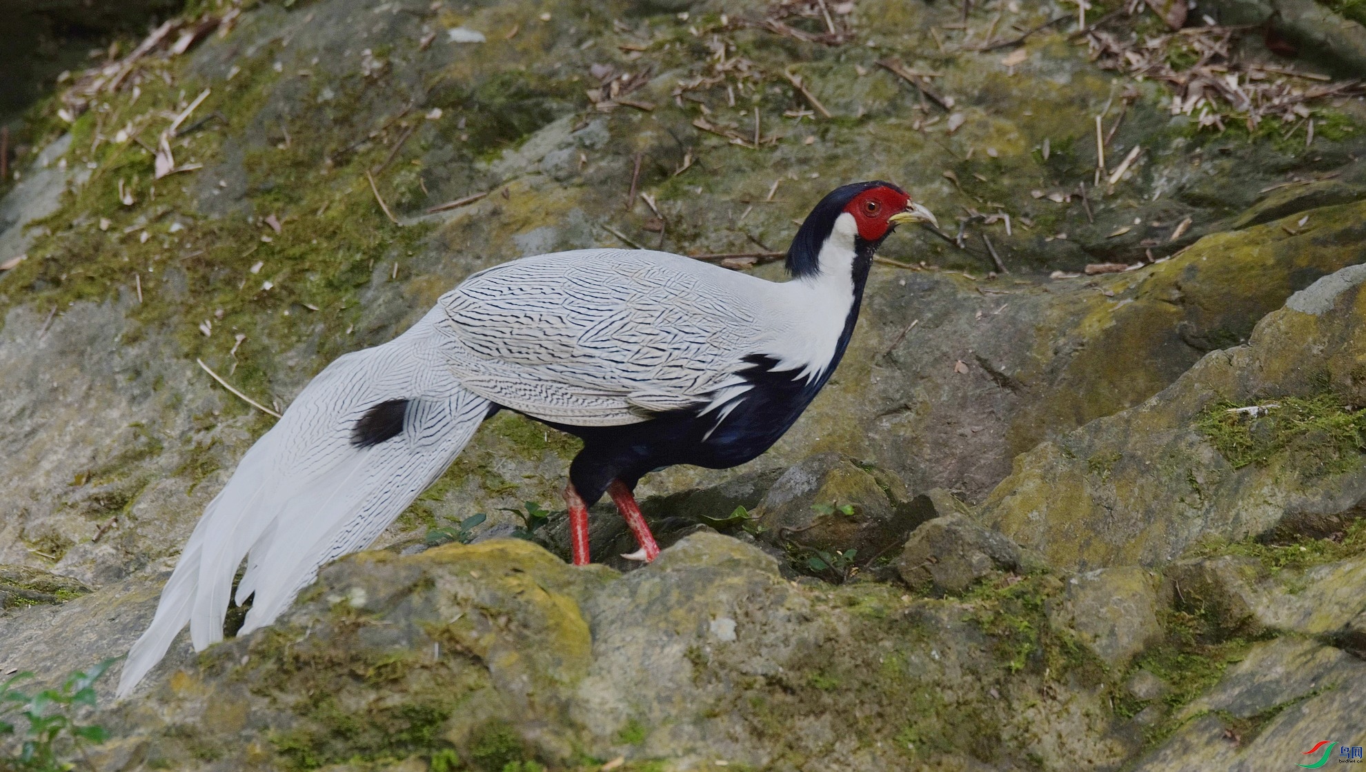 D72_2182.jpg