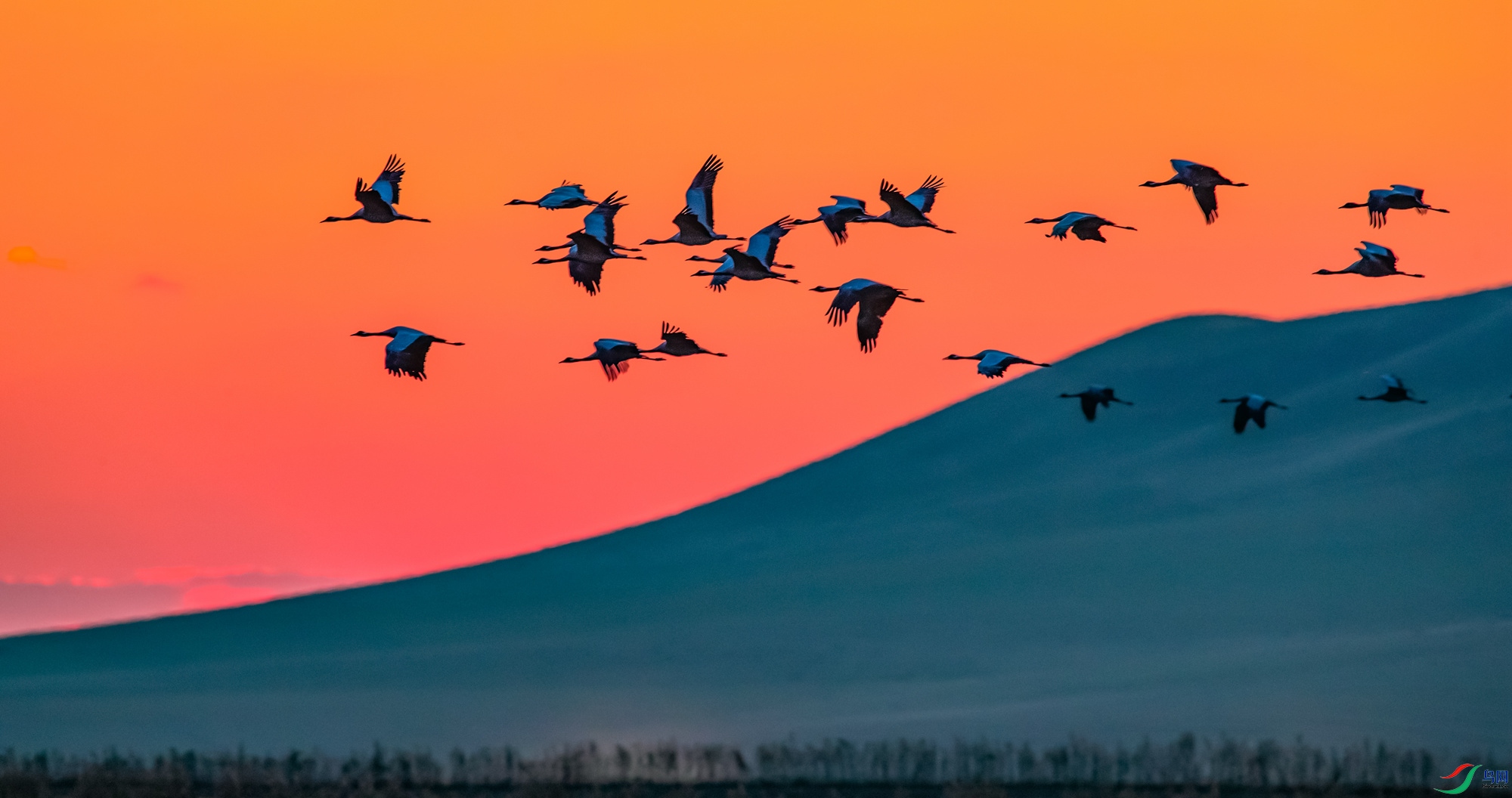 _T5I1063 ����_����.jpg