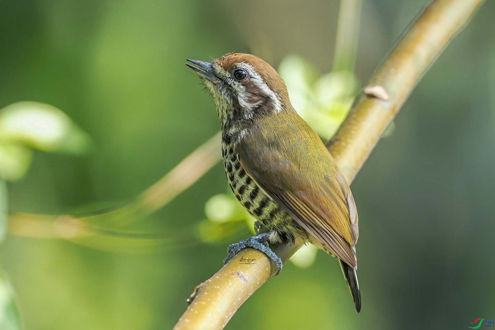 PC111219 ���� 2.jpg