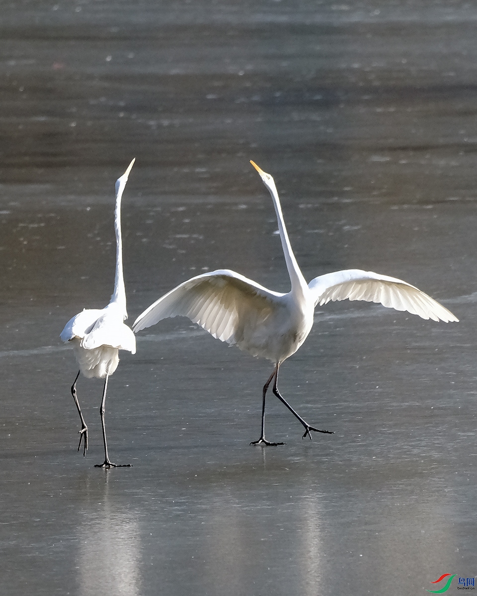 DSCF5530.JPG