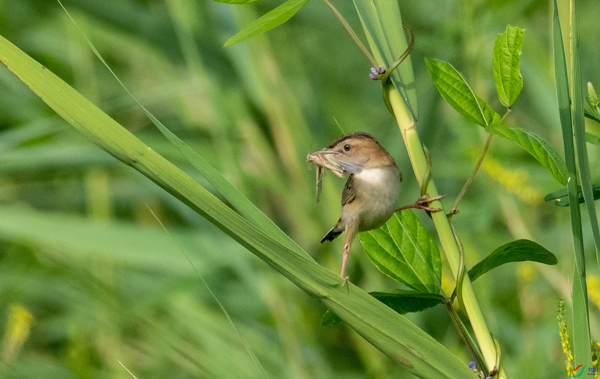 DSC_5491.jpg