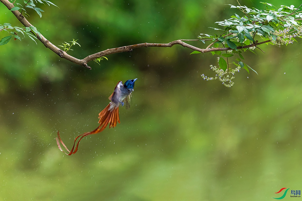 hndzR230625 (558)_DxO.jpg