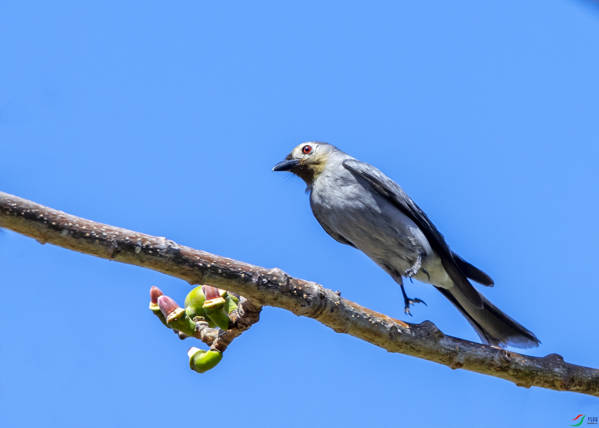 0246 ����.jpg