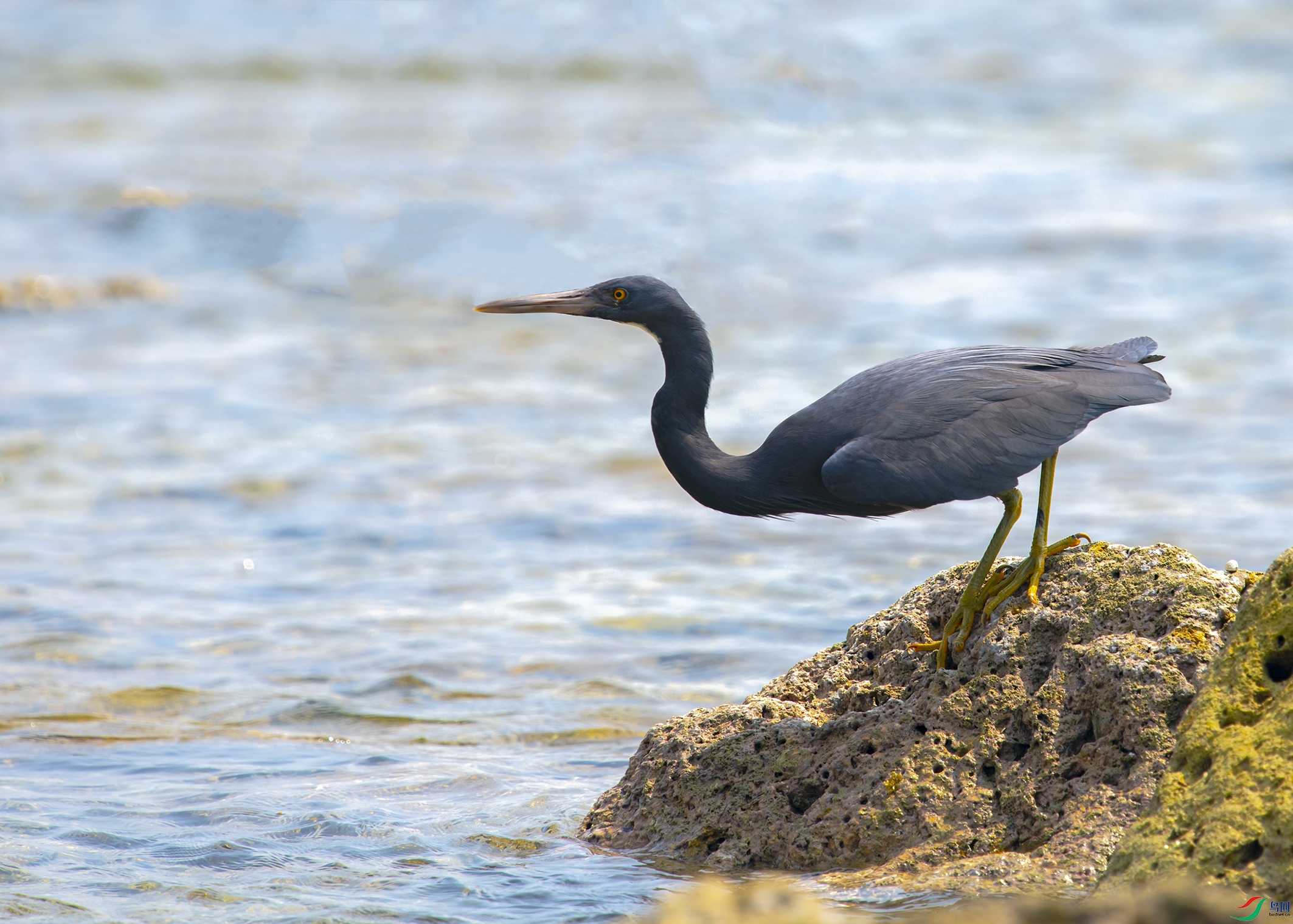 1838 ����.jpg