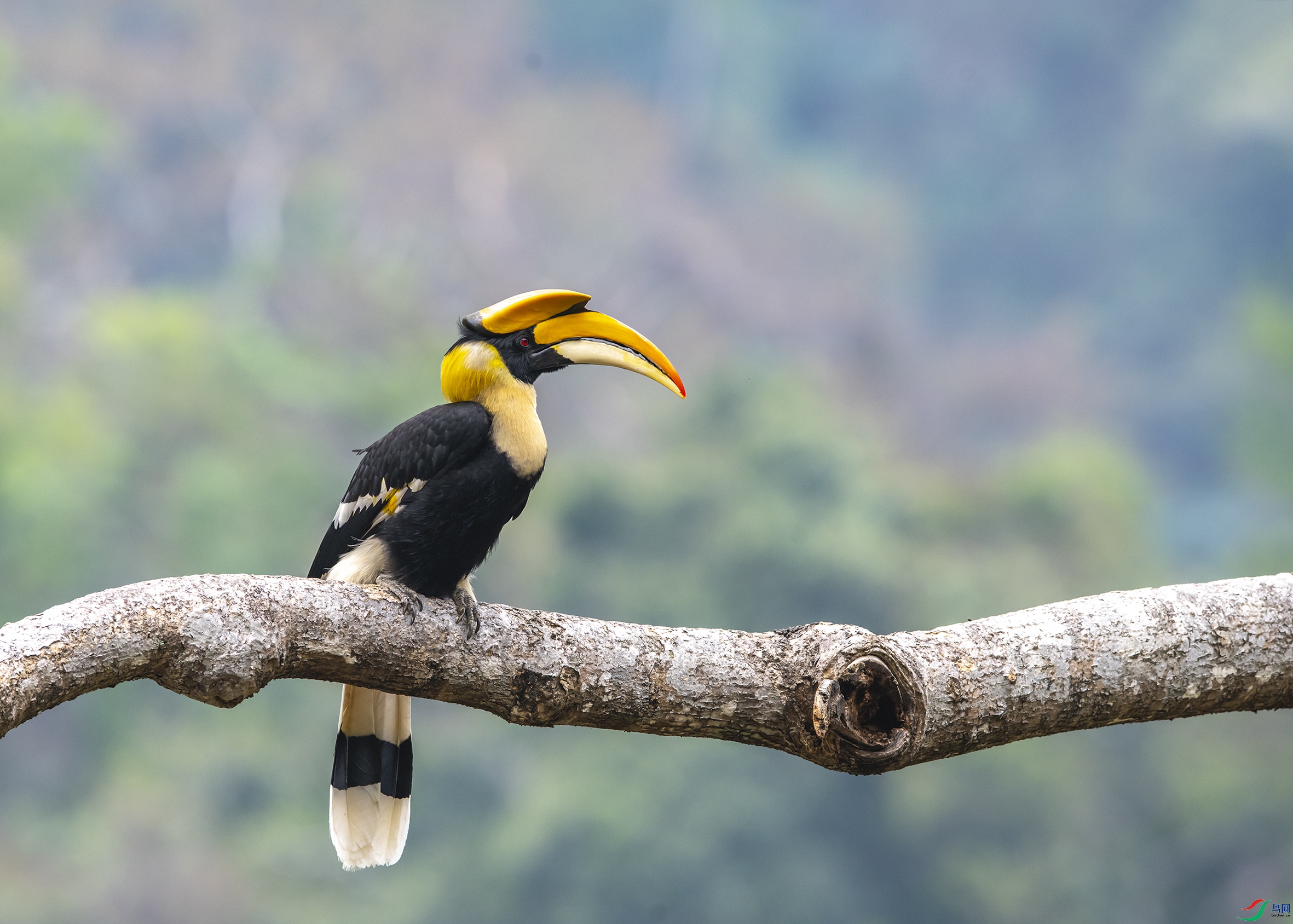 5946 ����.jpg