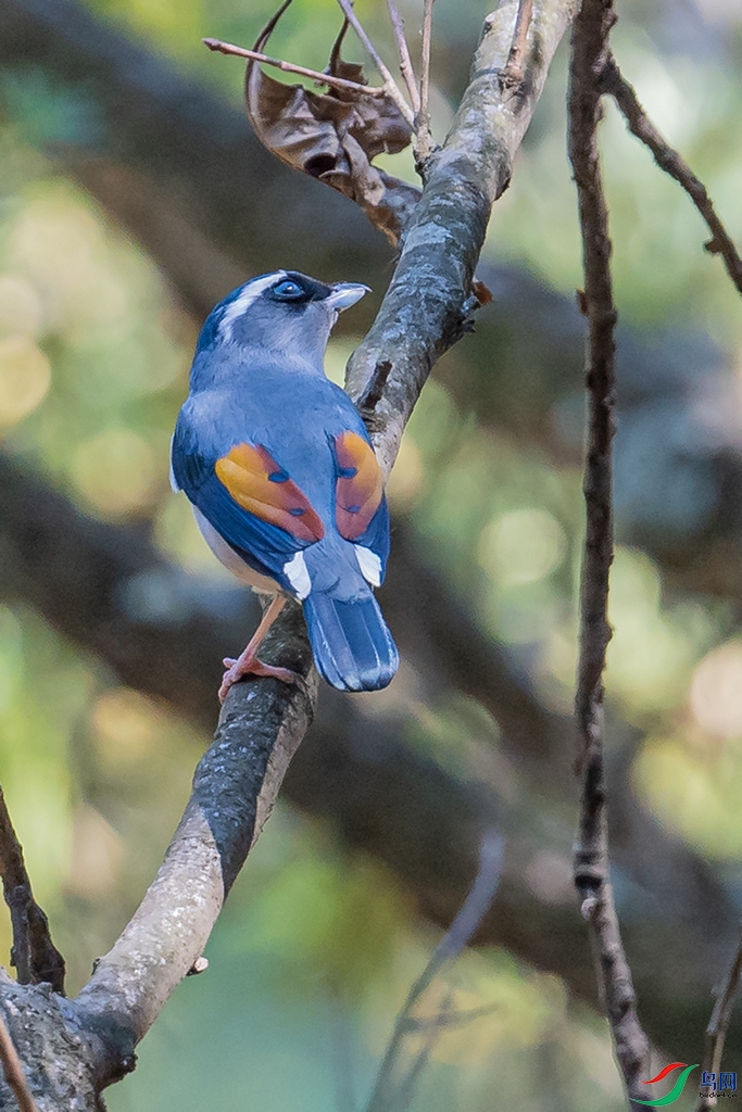 DSC_2465a.jpg