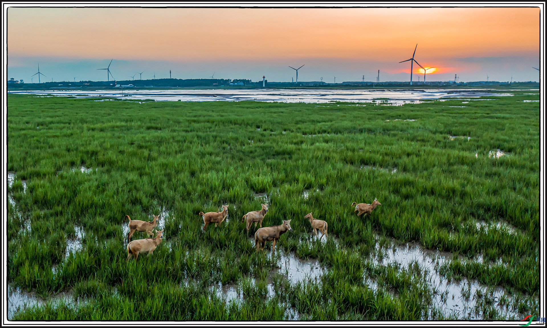 DJI_0843.jpg