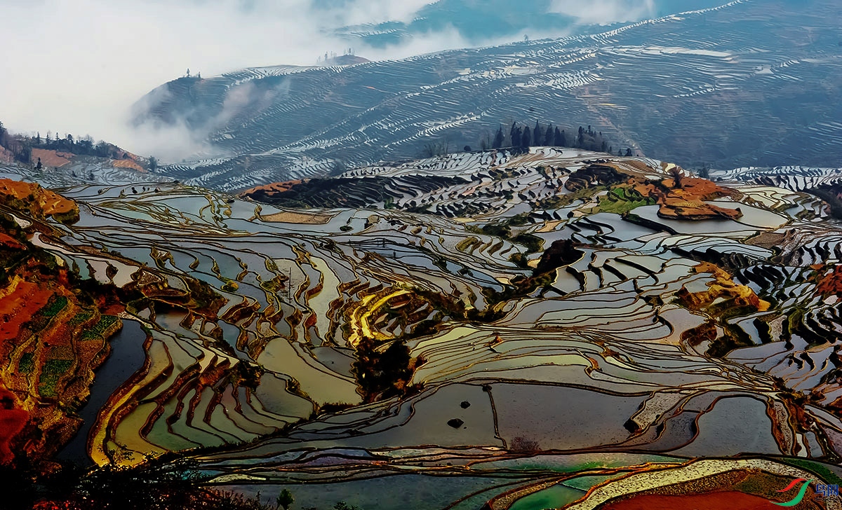 Picture 32451184 ����.jpg