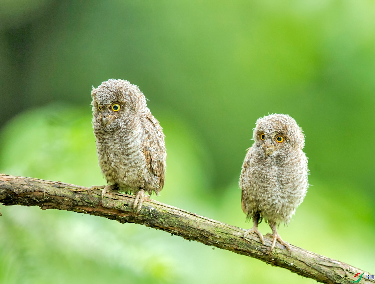 _E8J4626.jpg
