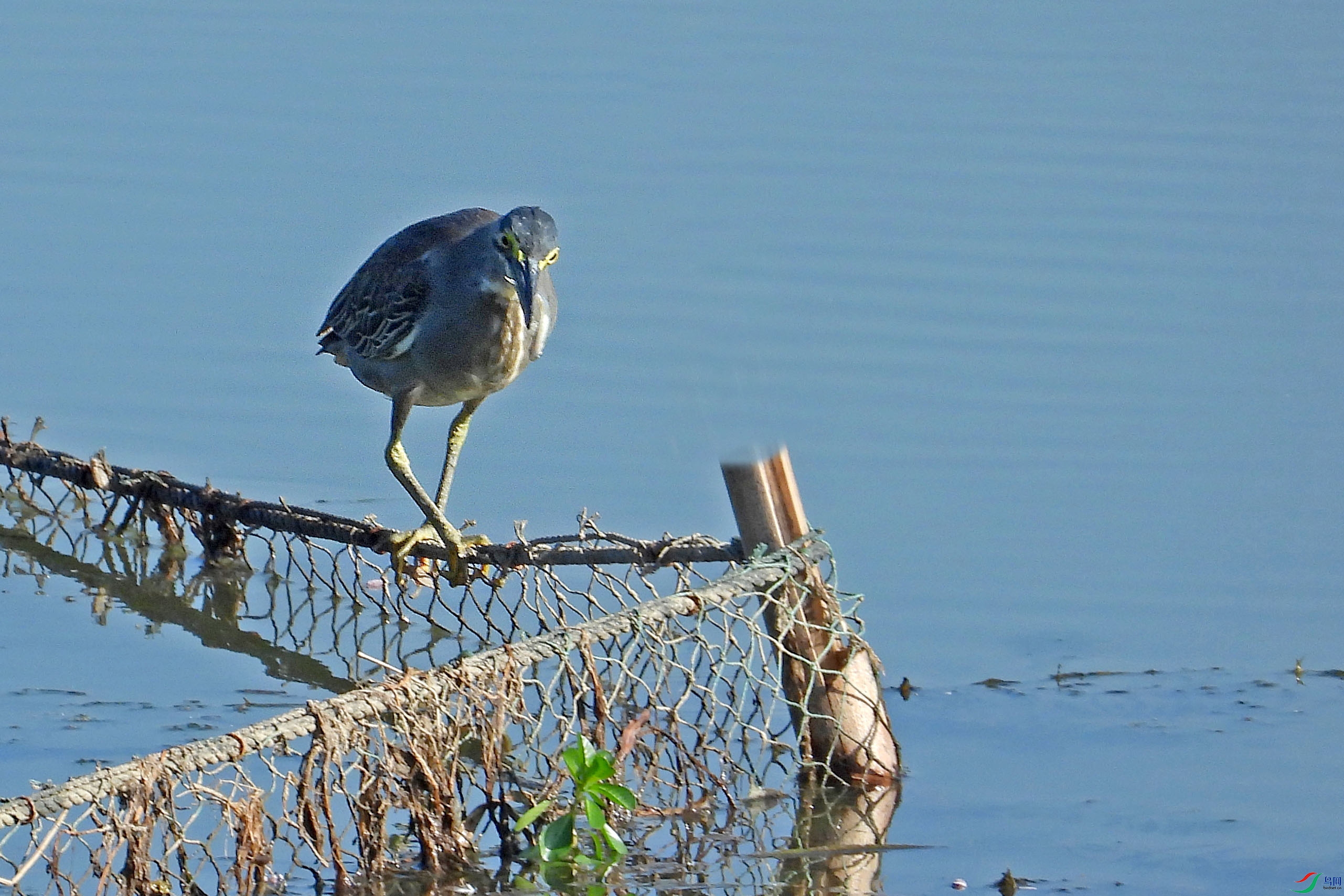DSCN8146.JPG