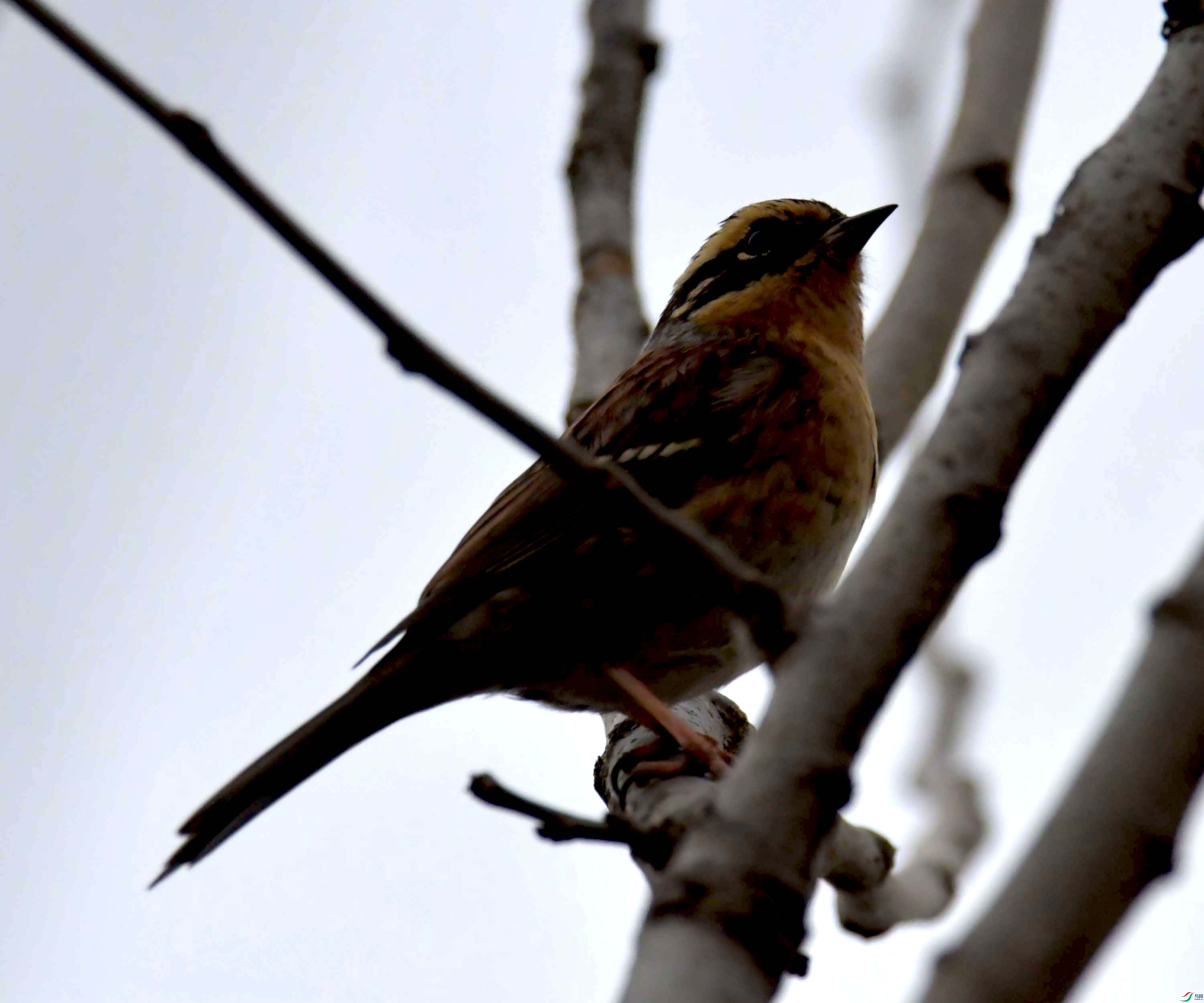 DSC_3390.JPG