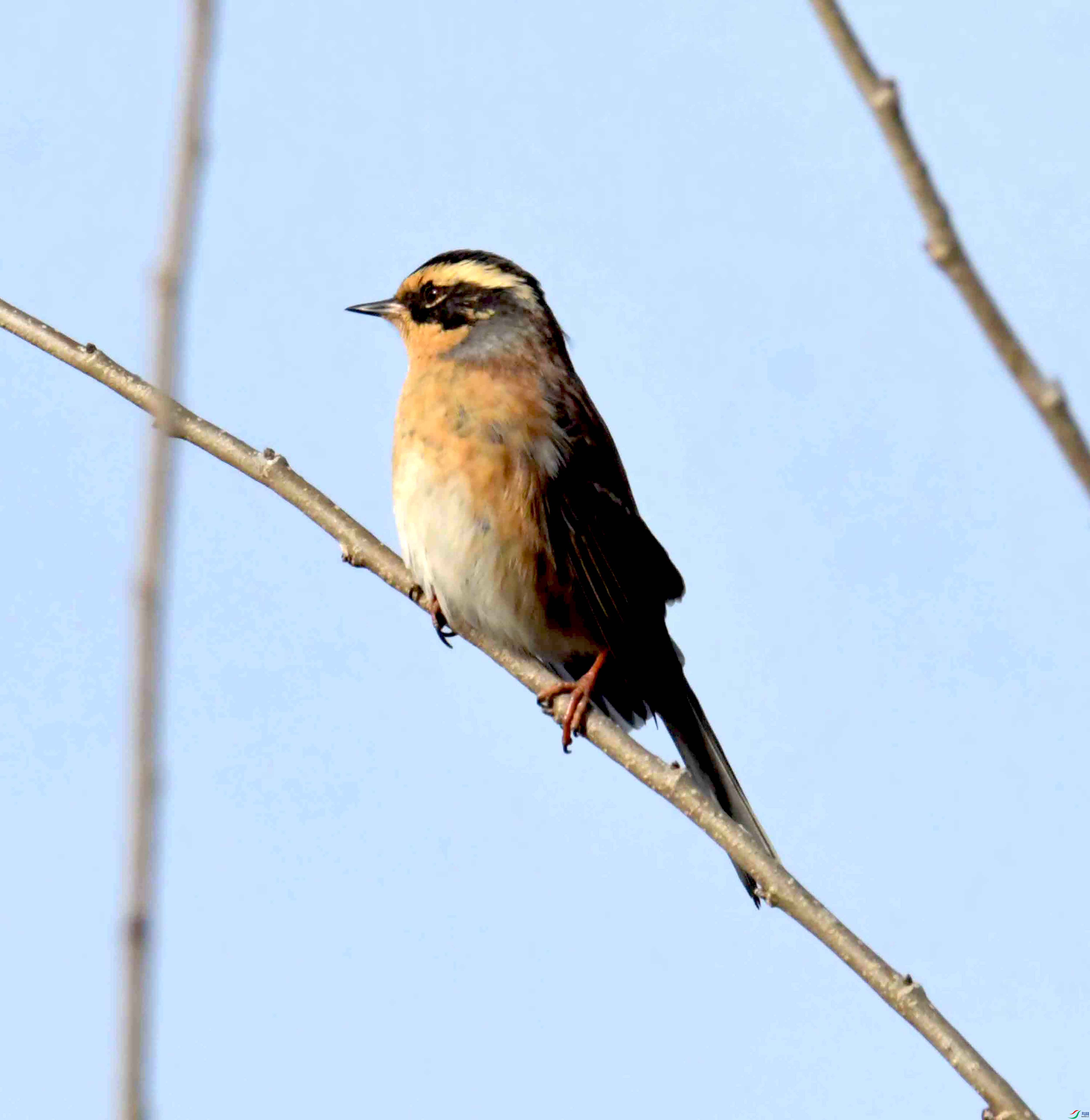 DSC_3689.JPG