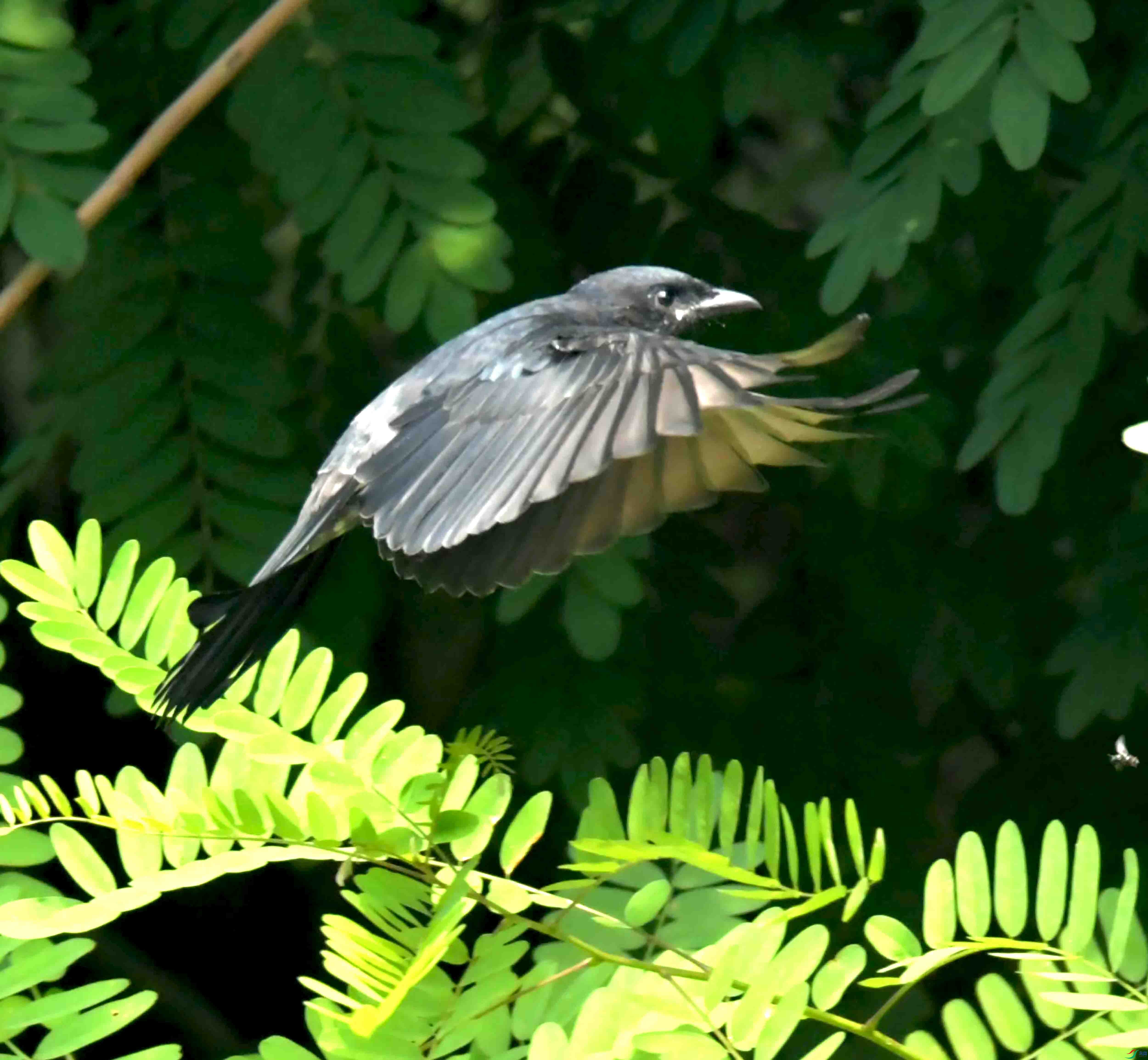 DSC_2573.JPG