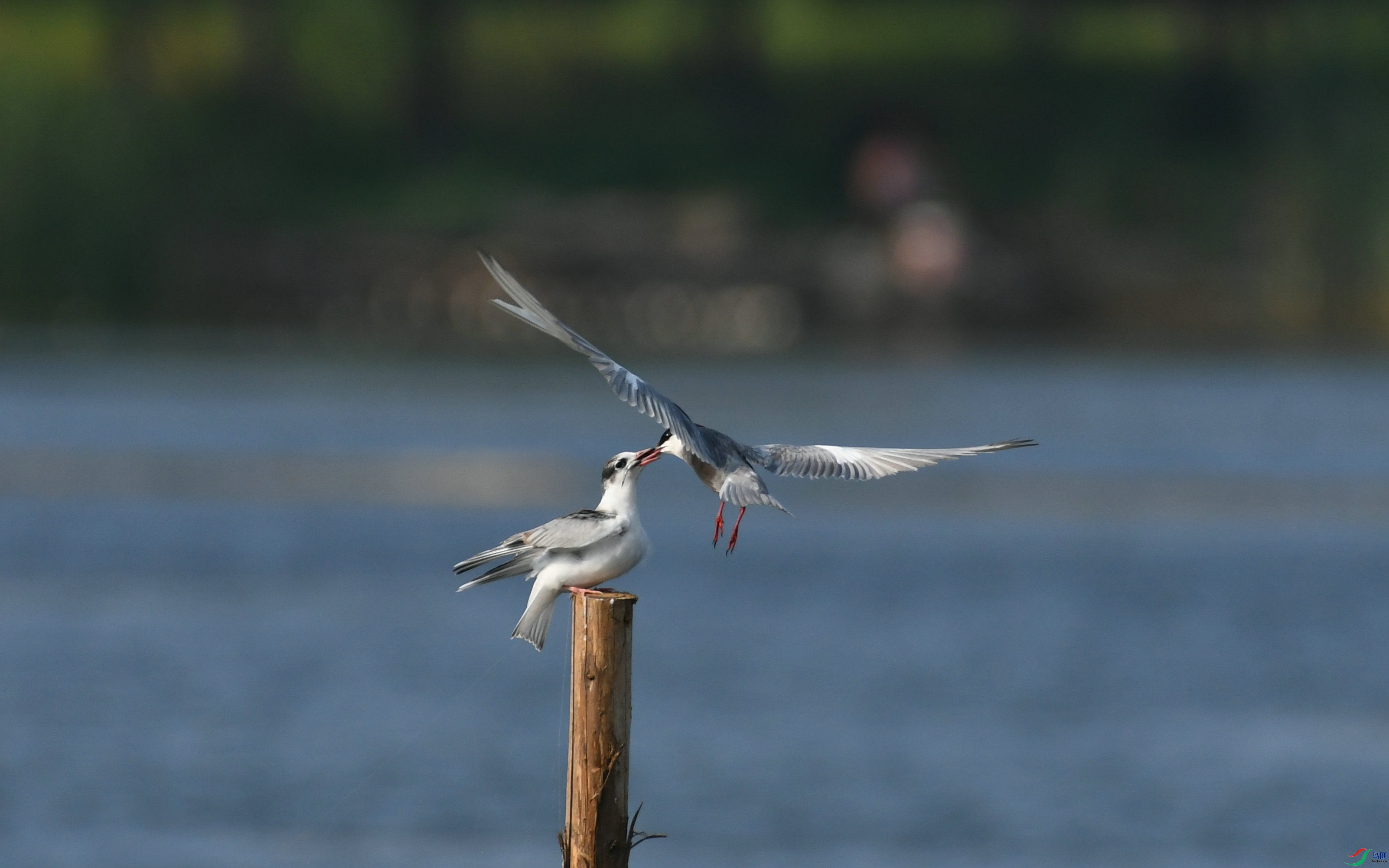 DSC_3572.JPG