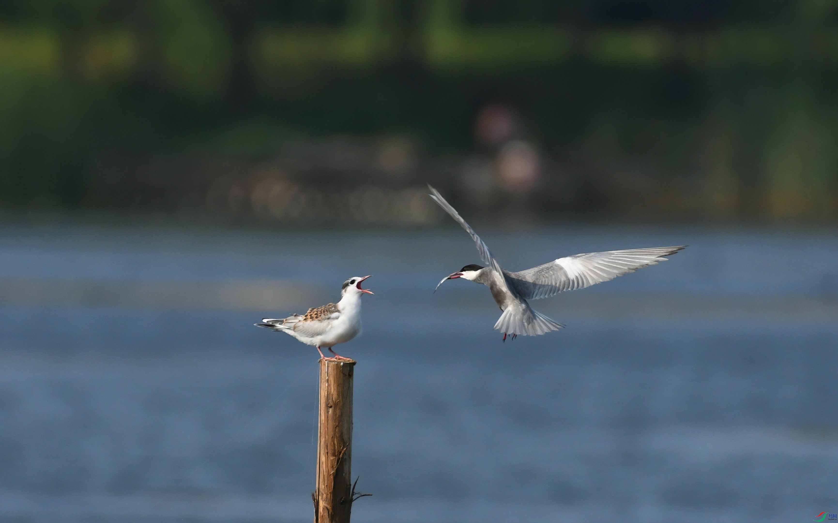 DSC_3569.JPG