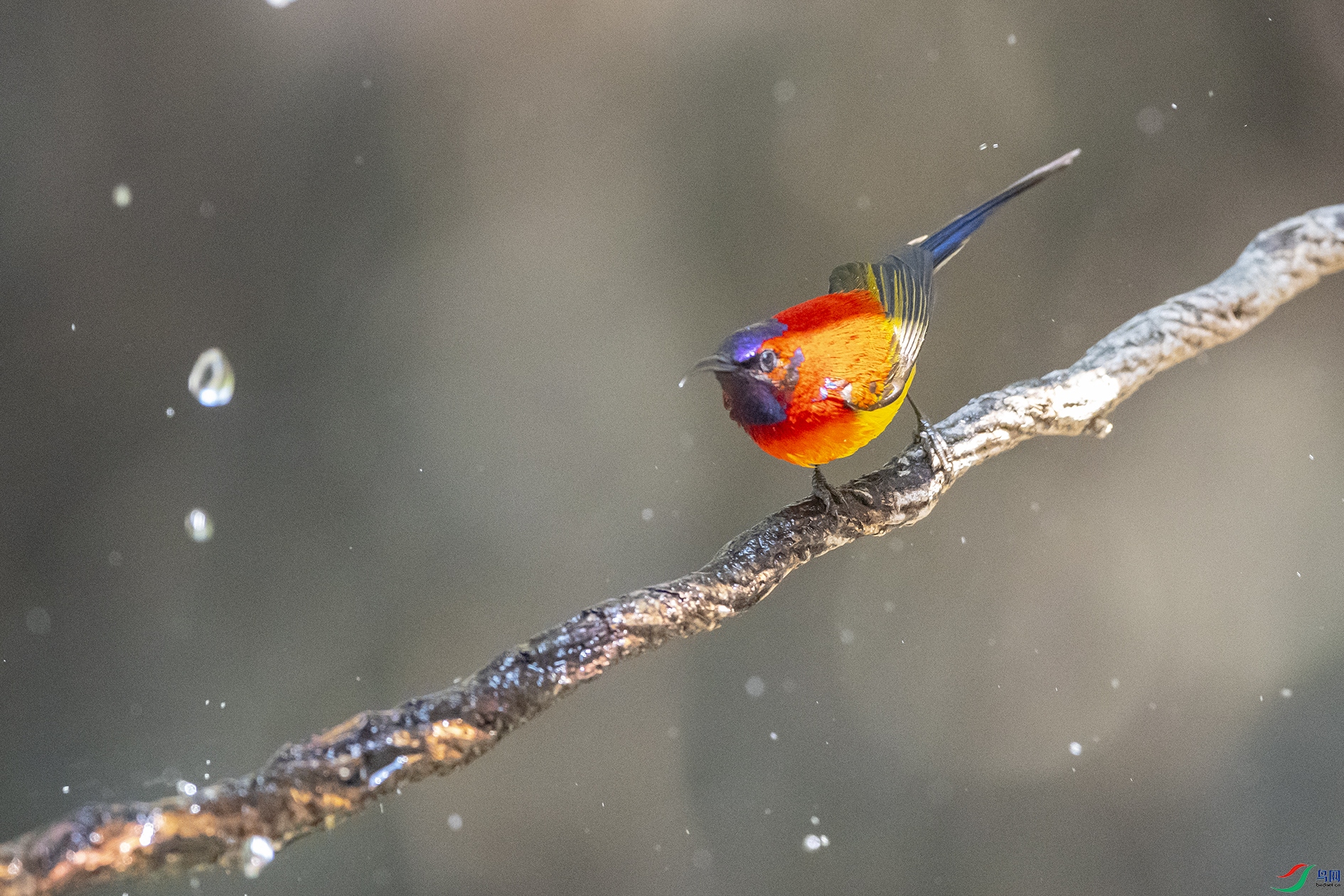 2676 ����.jpg