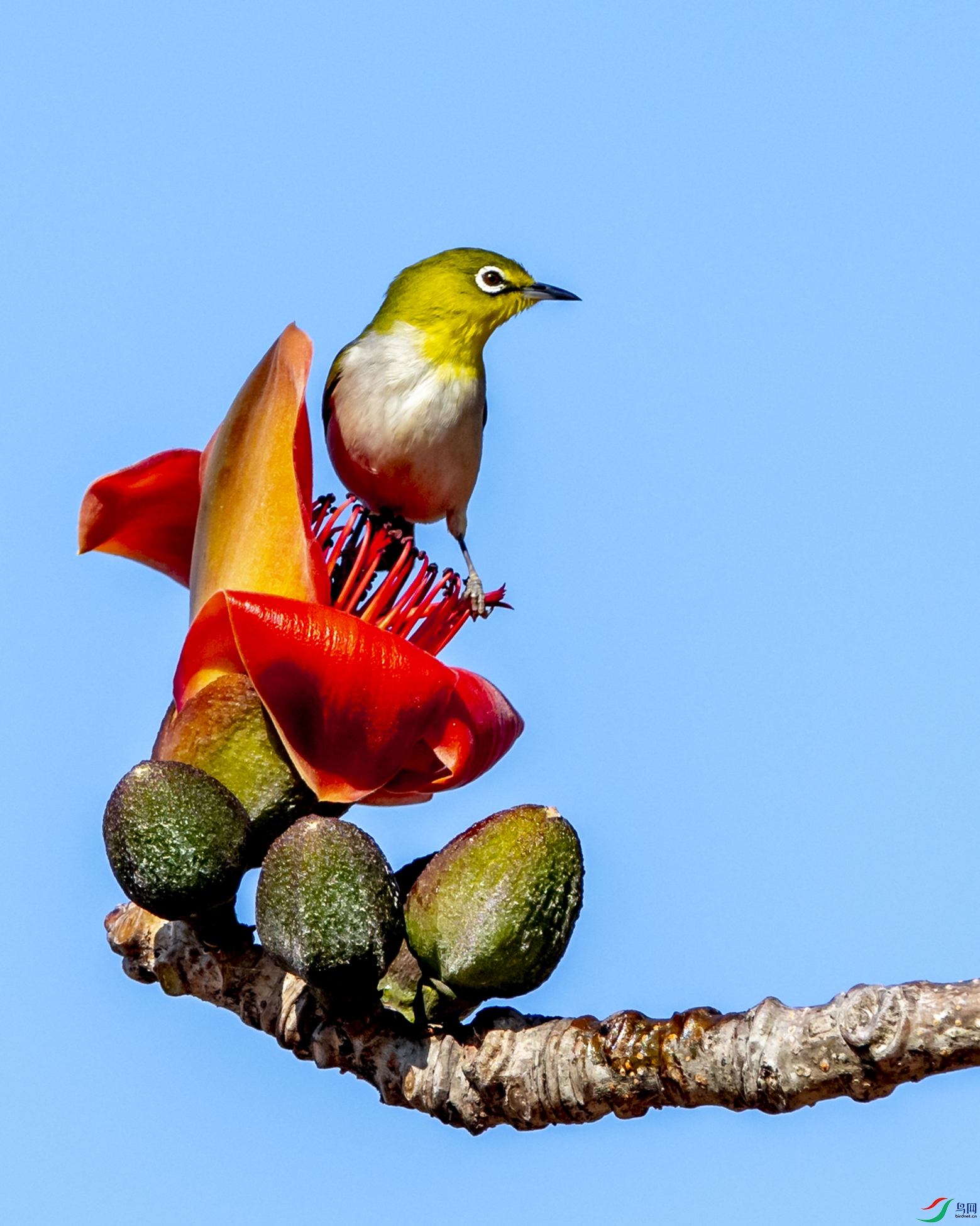 2849 ����.jpg