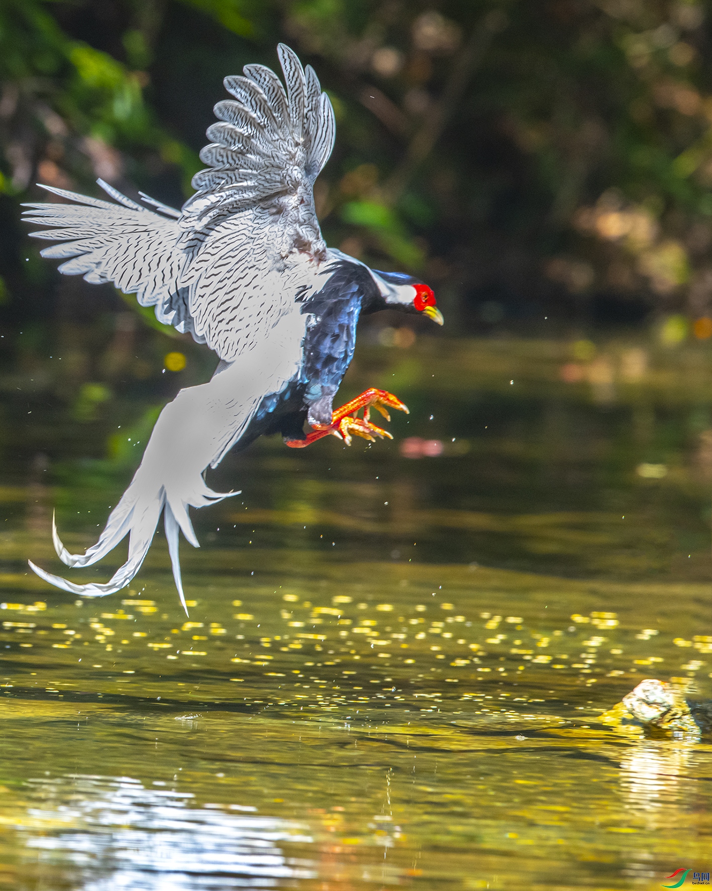 8516 ����.jpg