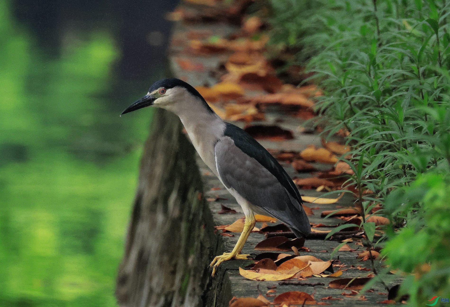 �����ر�