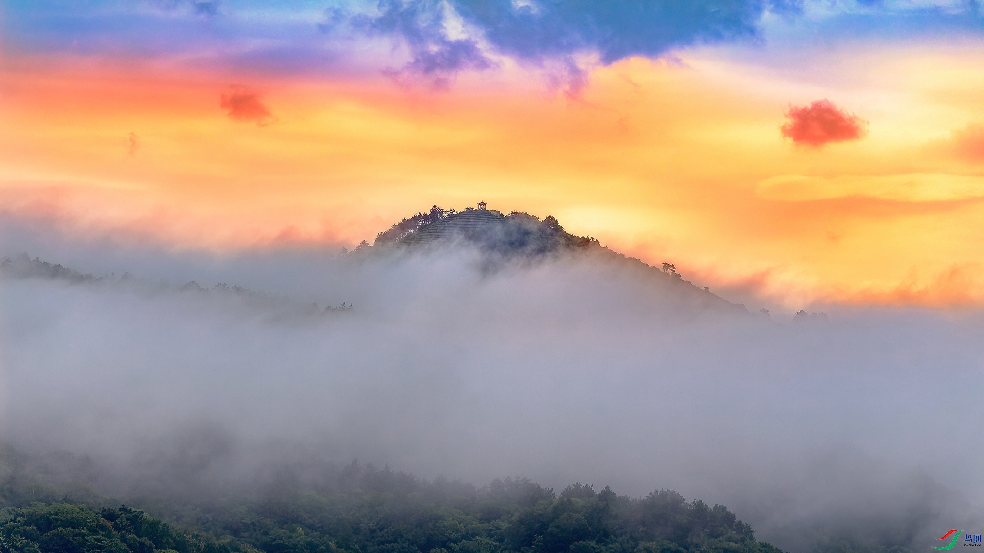 _MG_9062.jpg