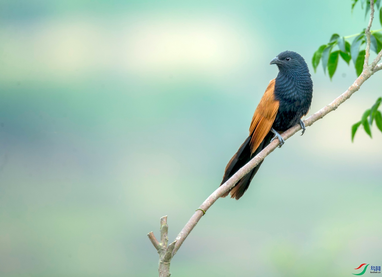 _TAO0461.jpg
