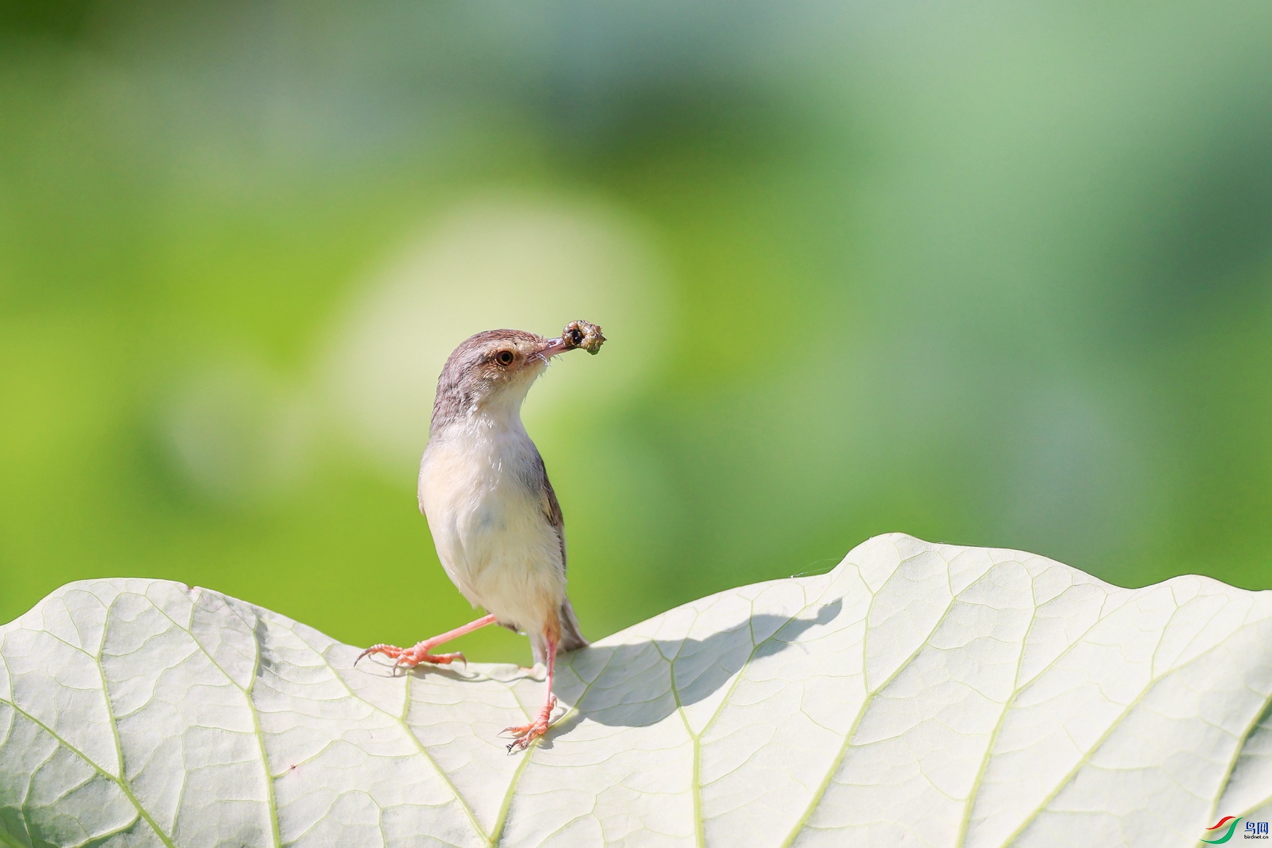 1M6A9889 ����_����.jpg