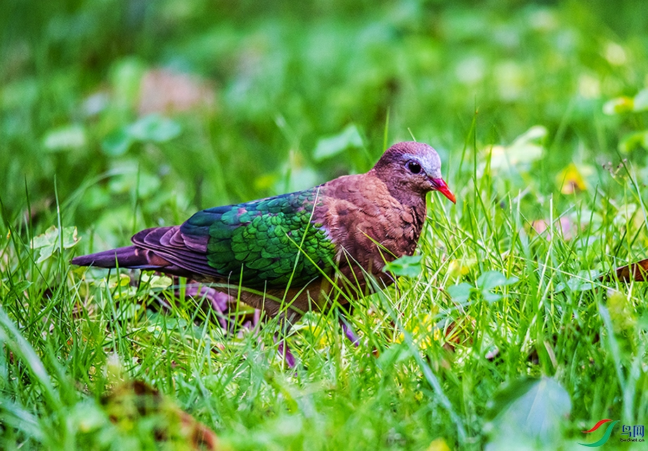 DSC_8839.jpg
