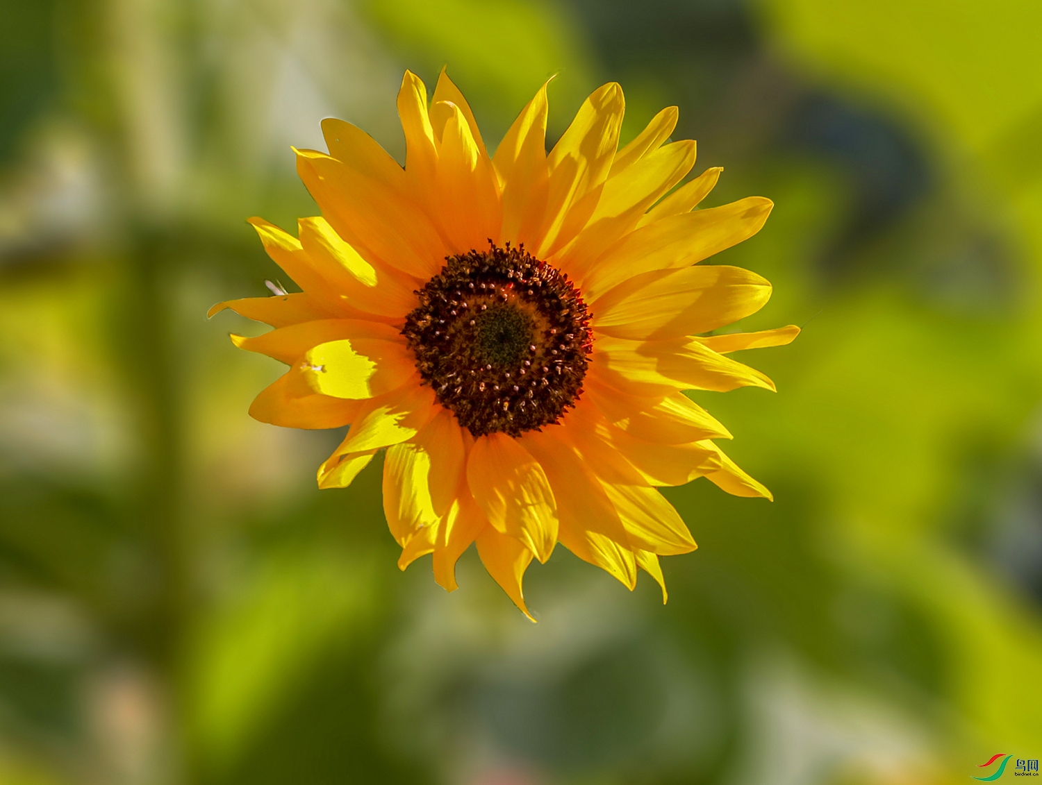 0000IMG_0306 ����1000k.jpg