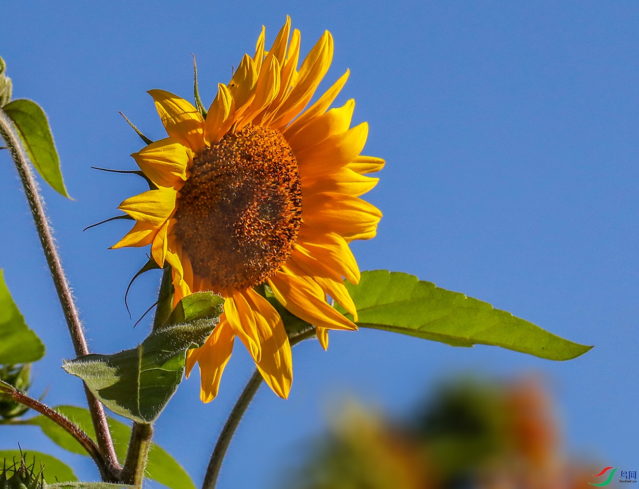 0000IMG_0303 ����1000k.jpg