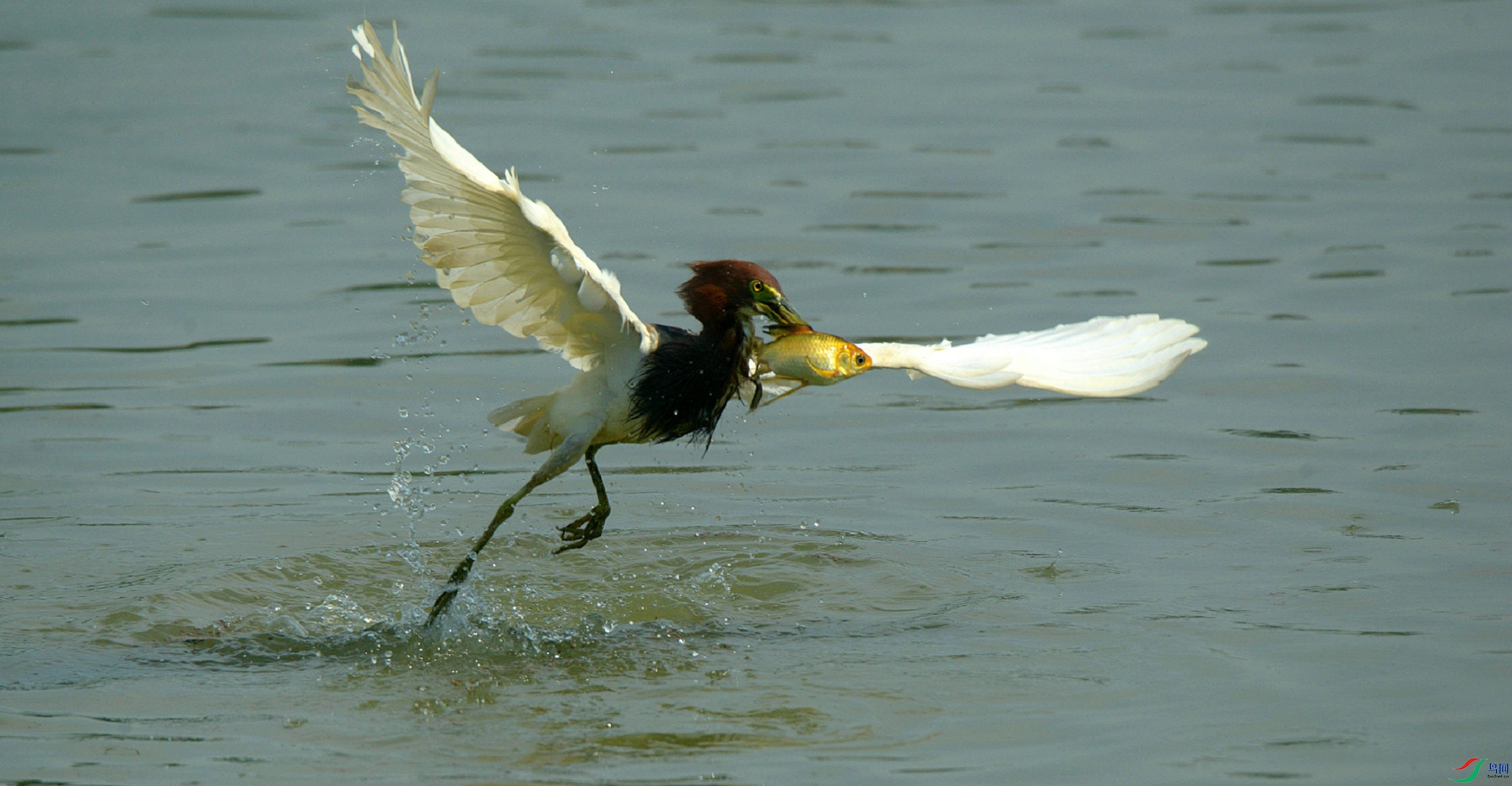 DSC_2700.jpg