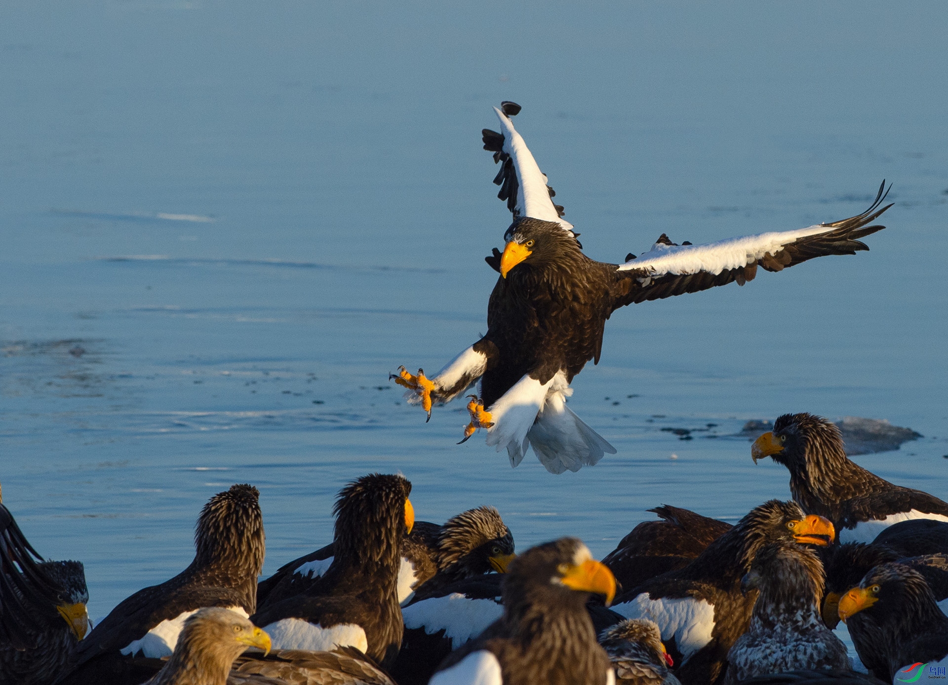 ��DSC_2276 ��ؐ.jpg