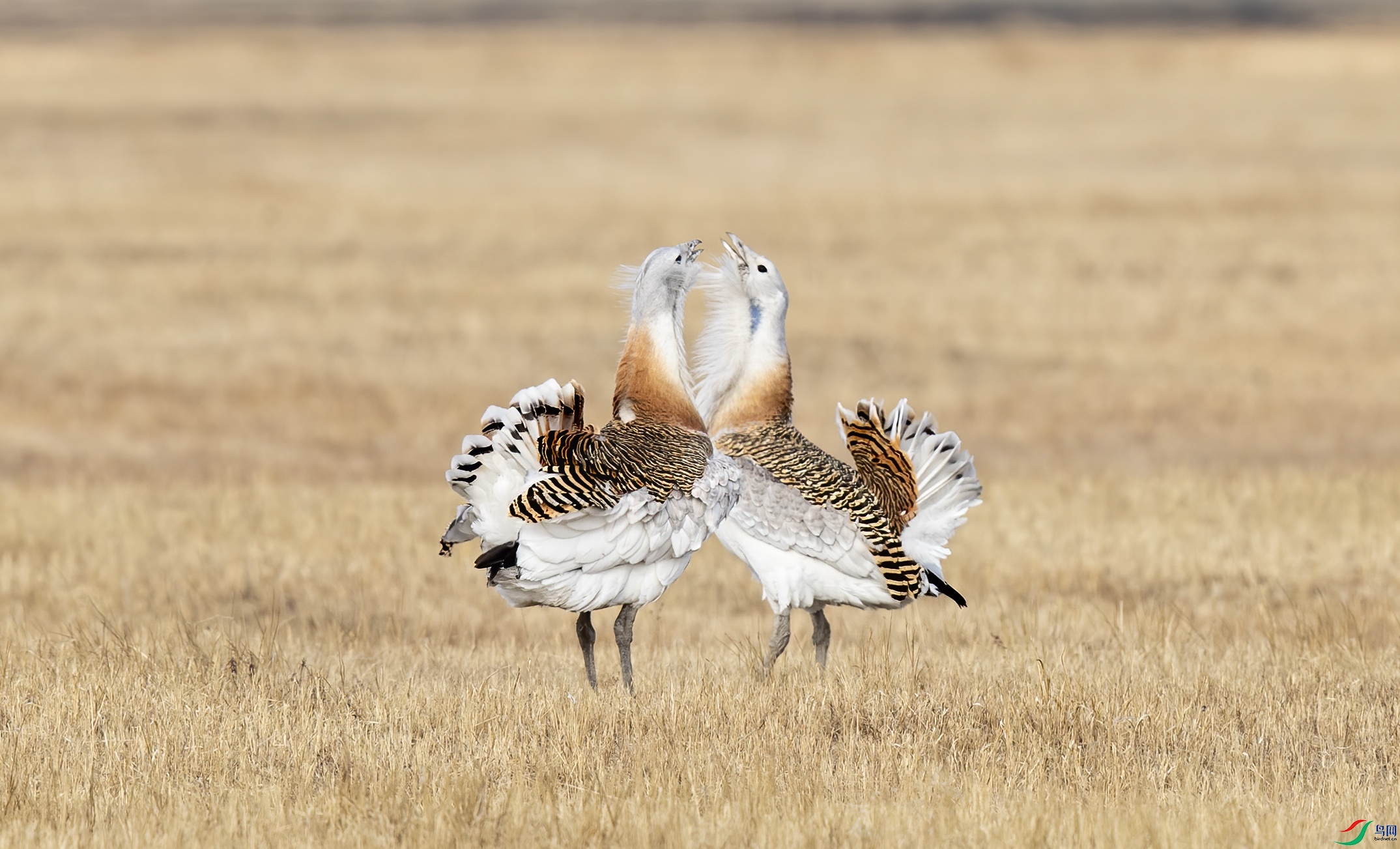 AC3I7233 ����.jpg