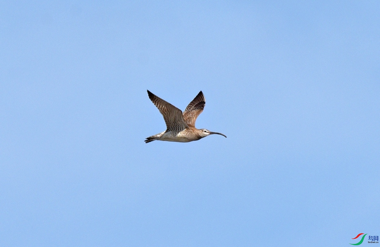 DSC_5831.jpg
