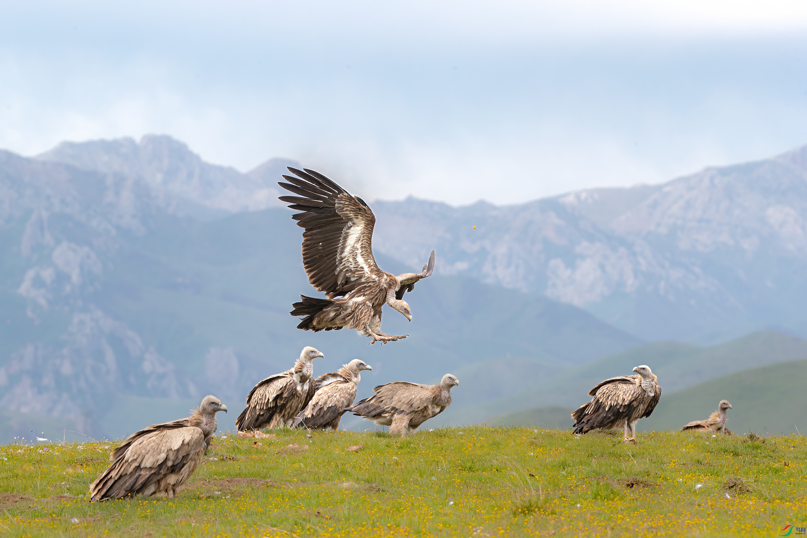 AY8I1347 ����.jpg