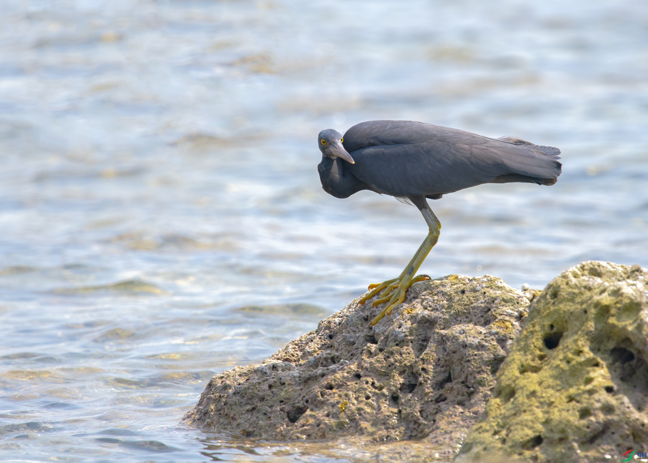 1785 ����.jpg