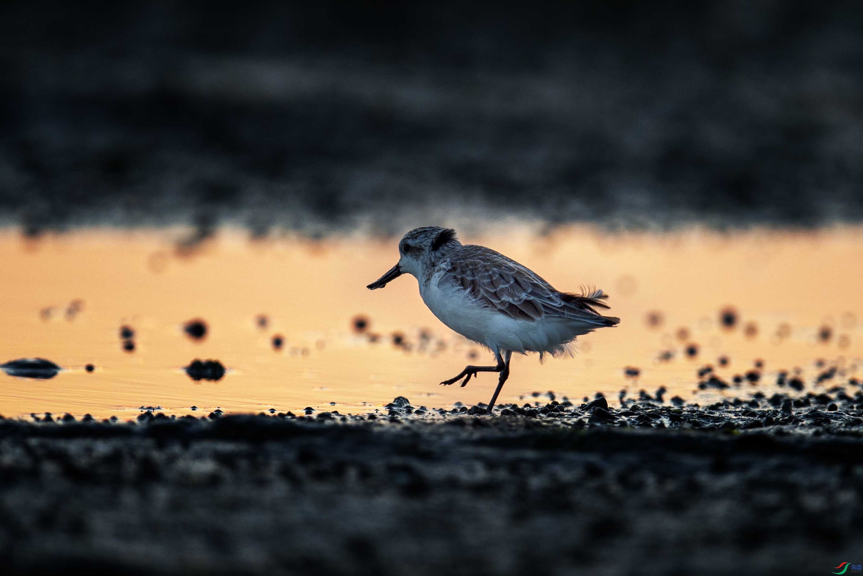 DSC_7221 ����.jpg