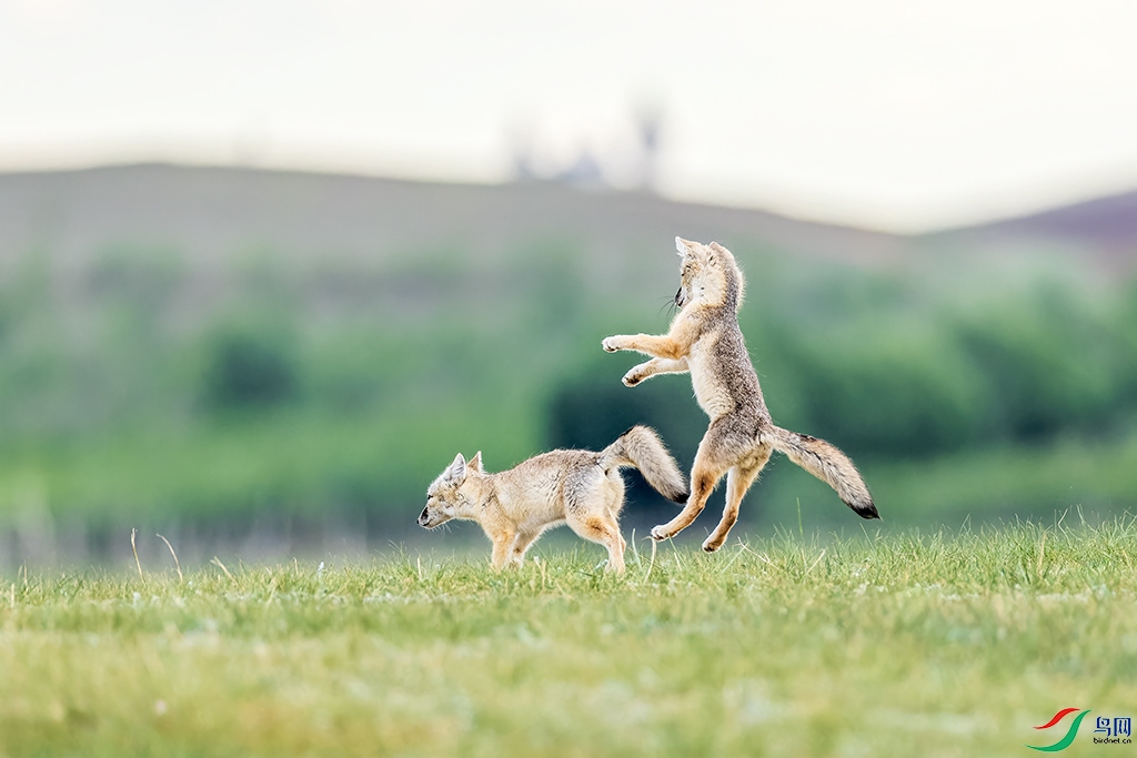 hbzjkR230610 (722)_DxO.jpg