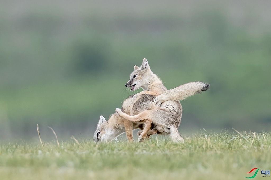 hbzjkR230610 (794)_DxO.jpg