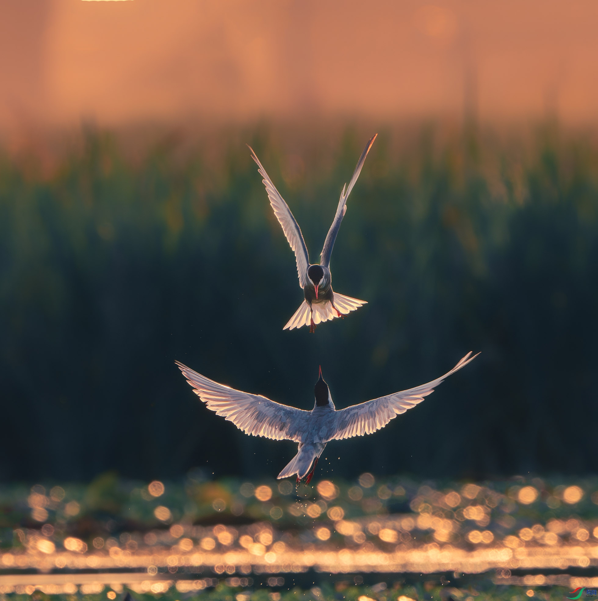 _DSC3022-����ǿ-NR ����.jpg