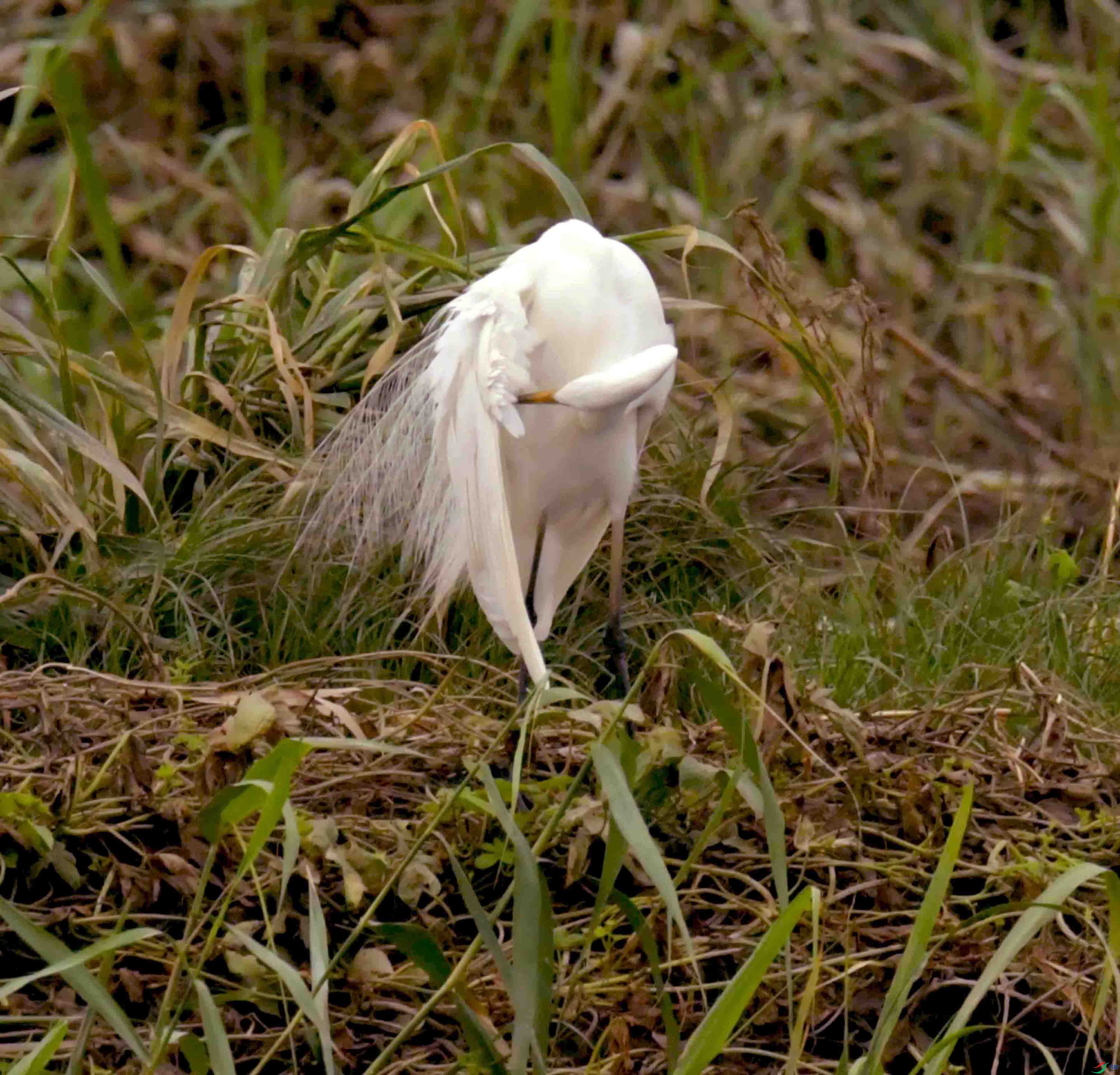 DSC_3838.JPG