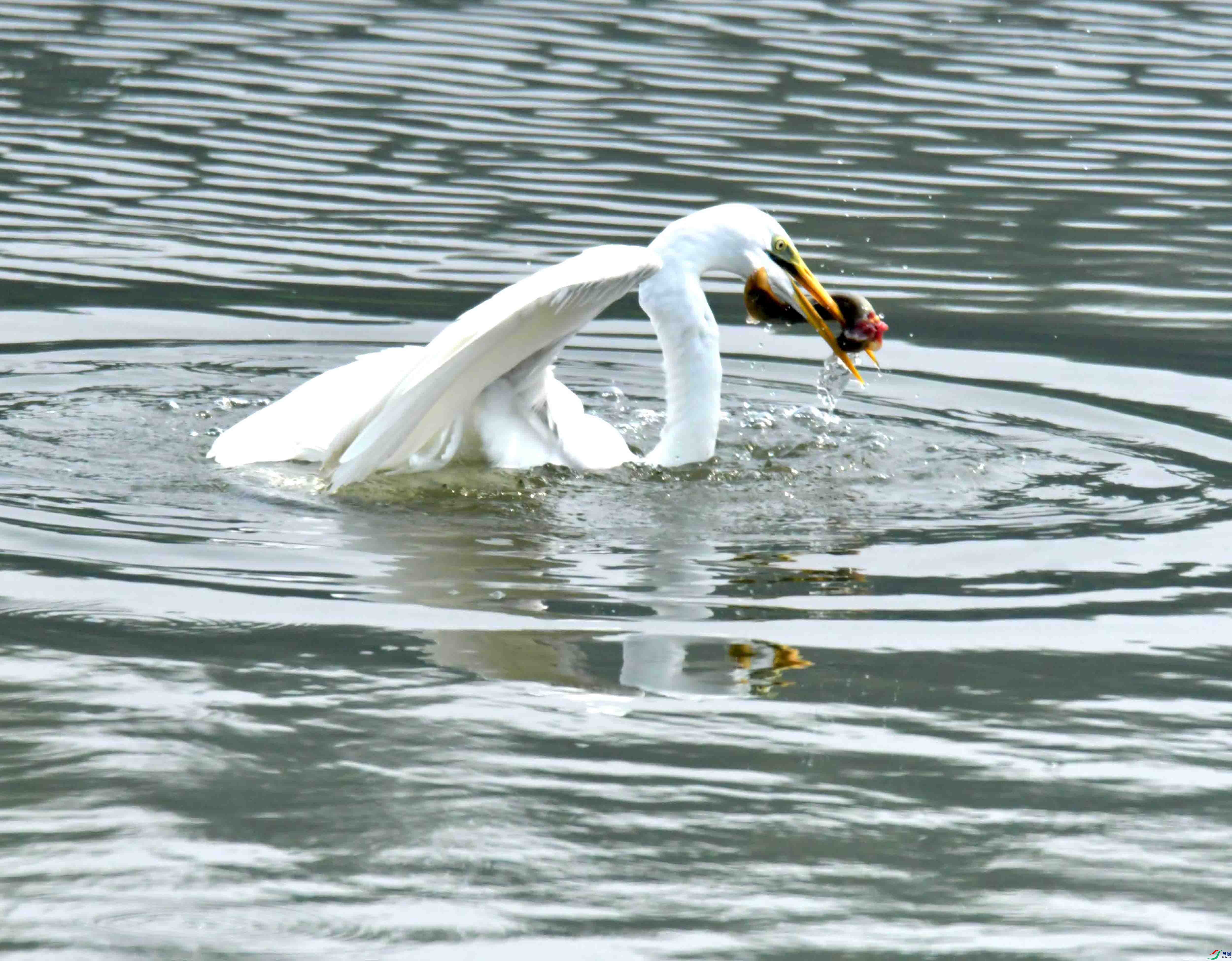DSC_3883.JPG