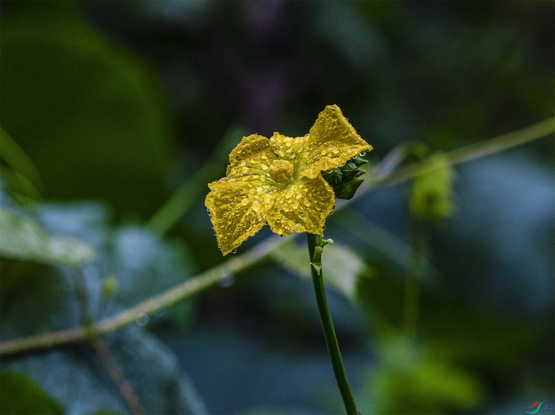 CY4A8965 ����1.jpg