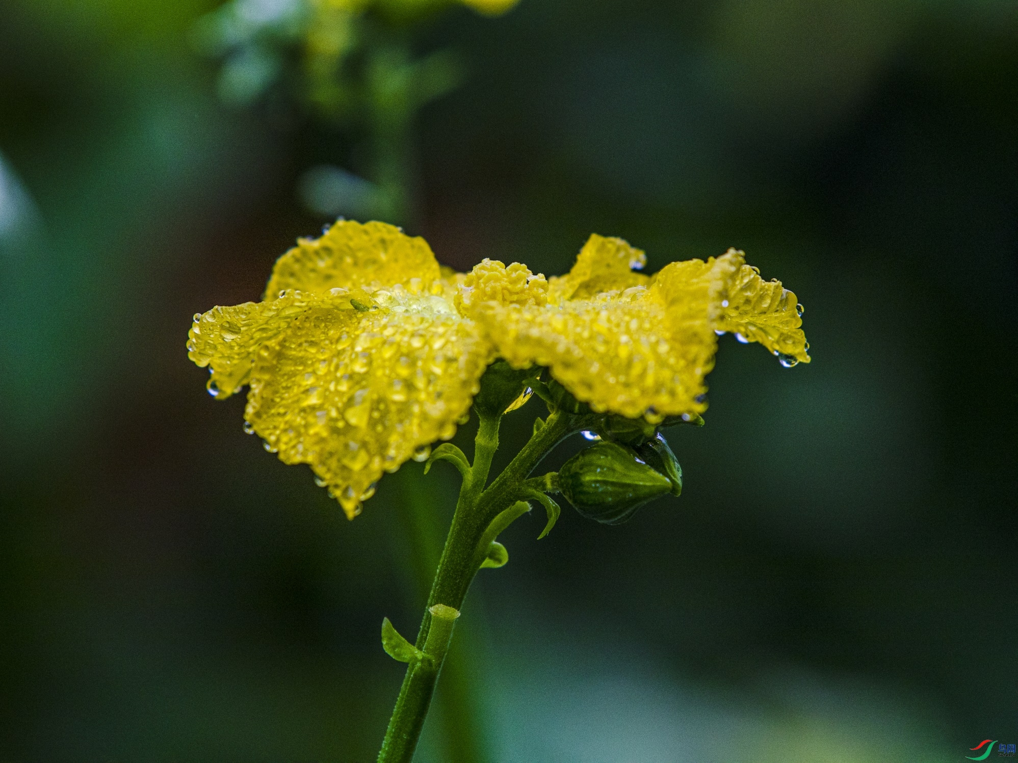 CY4A8972 ����1.jpg