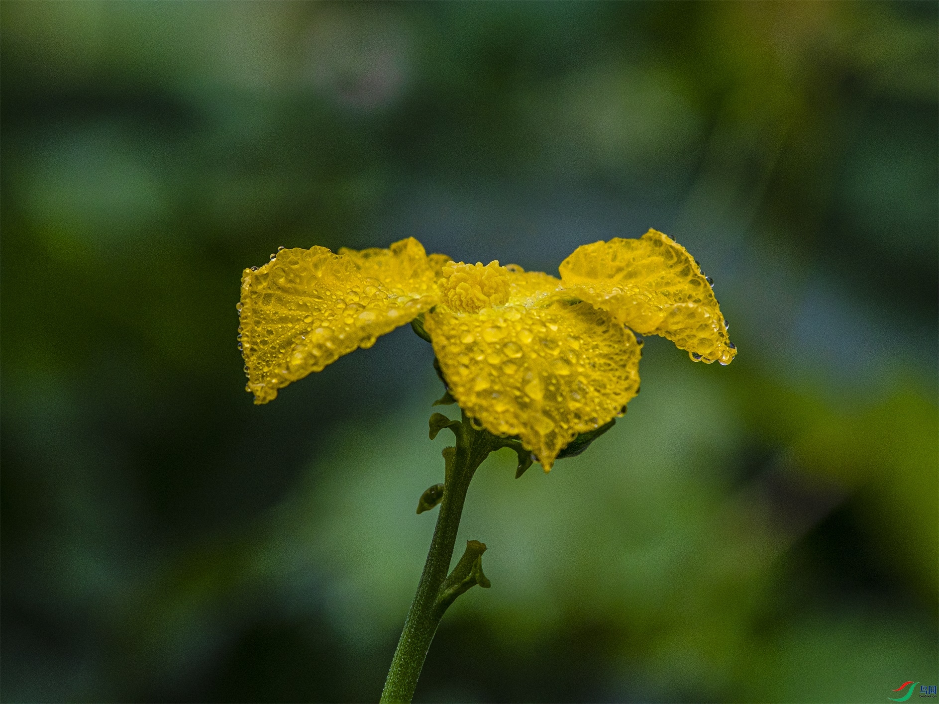 CY4A8968 ����1.jpg