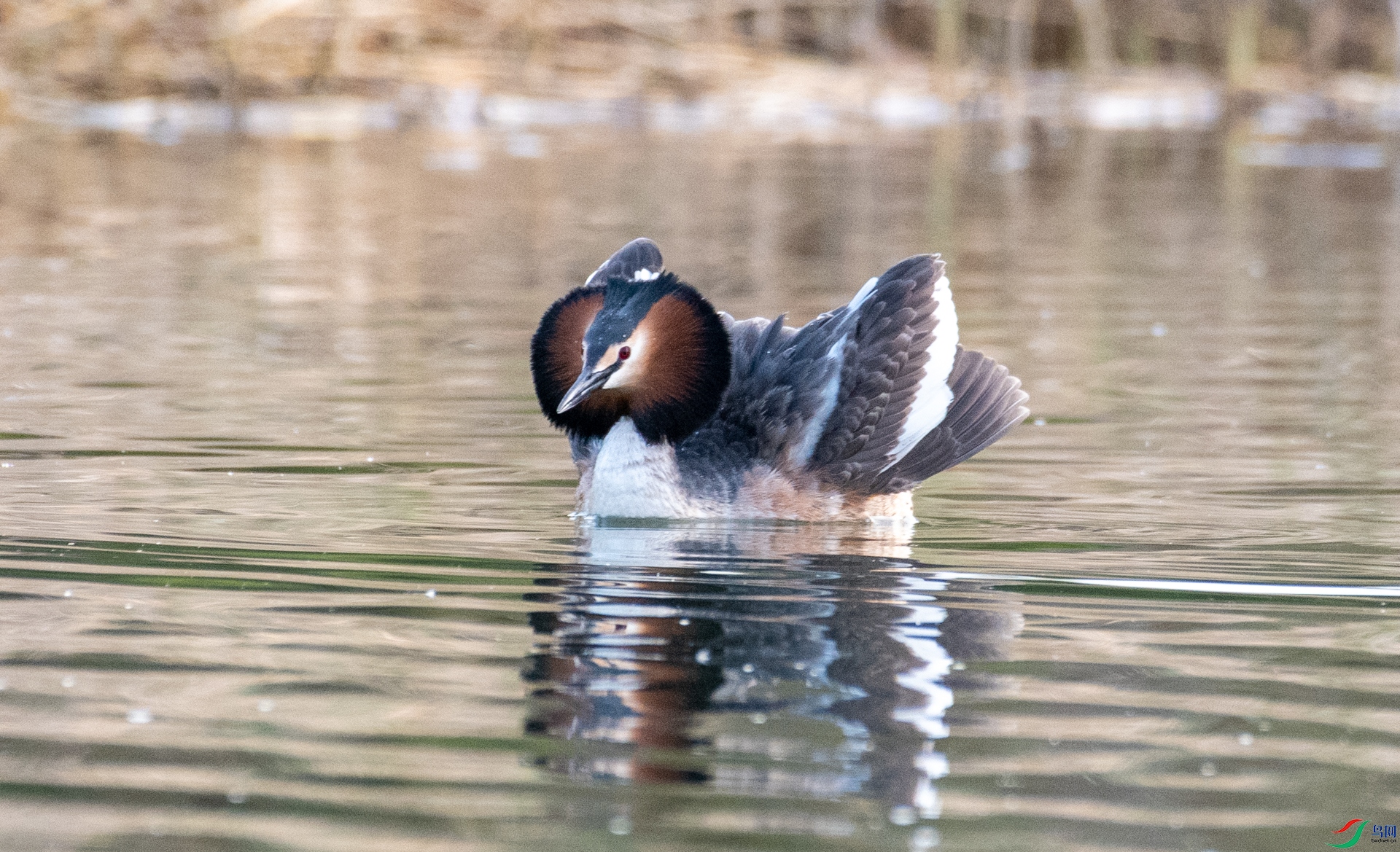 DSC_4567.jpg
