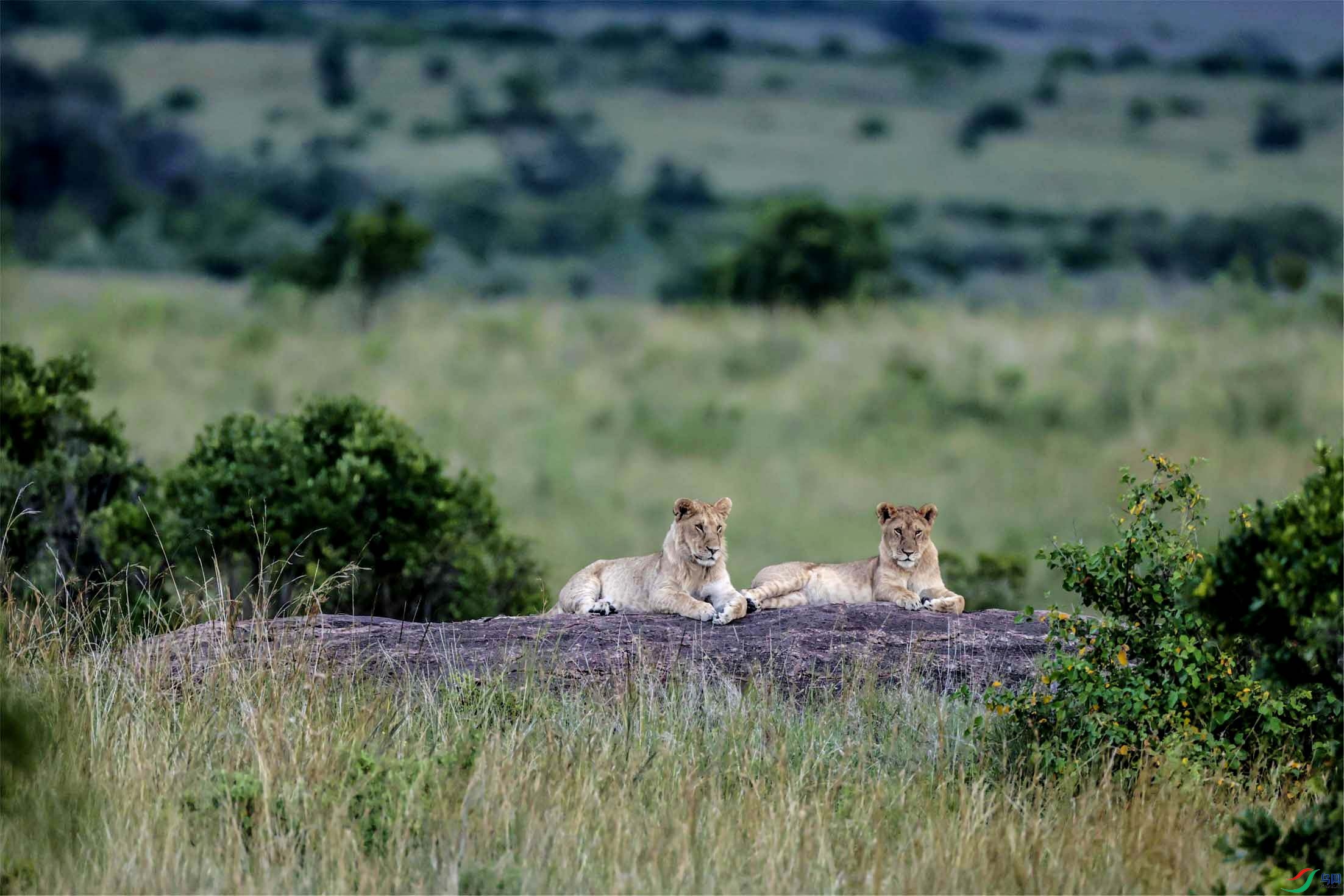 ��Ȼ�ĳ����������������� ����.jpg