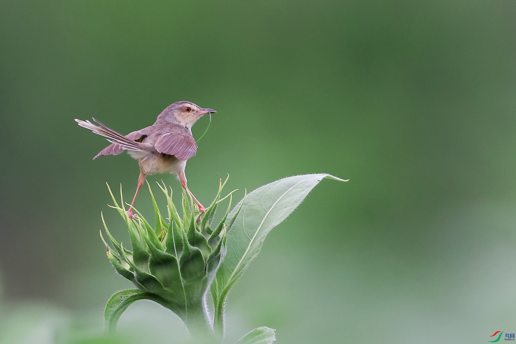 1M6A4892 ����_����.jpg