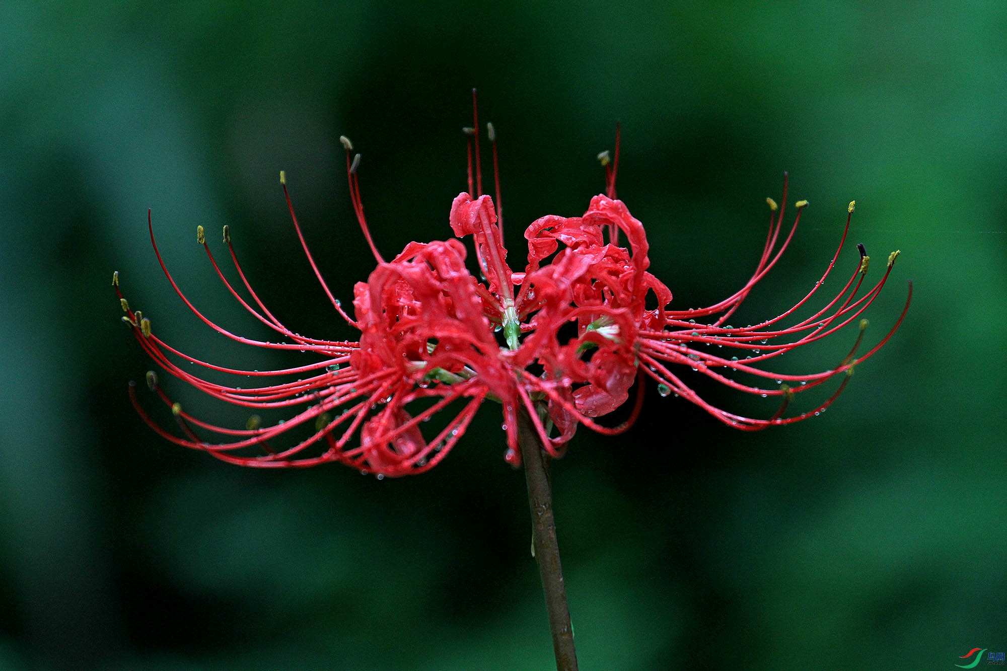 DSCN8046.JPG