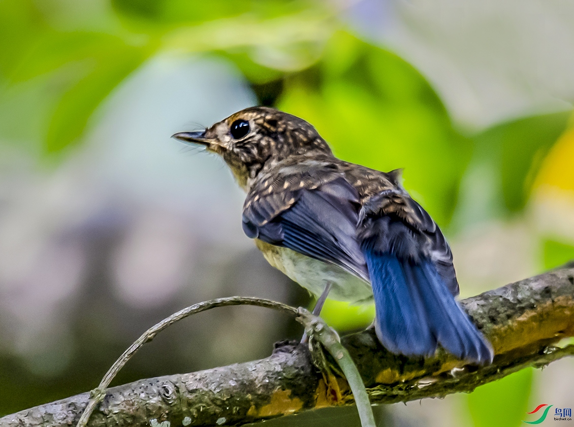 DSC_7434.jpg