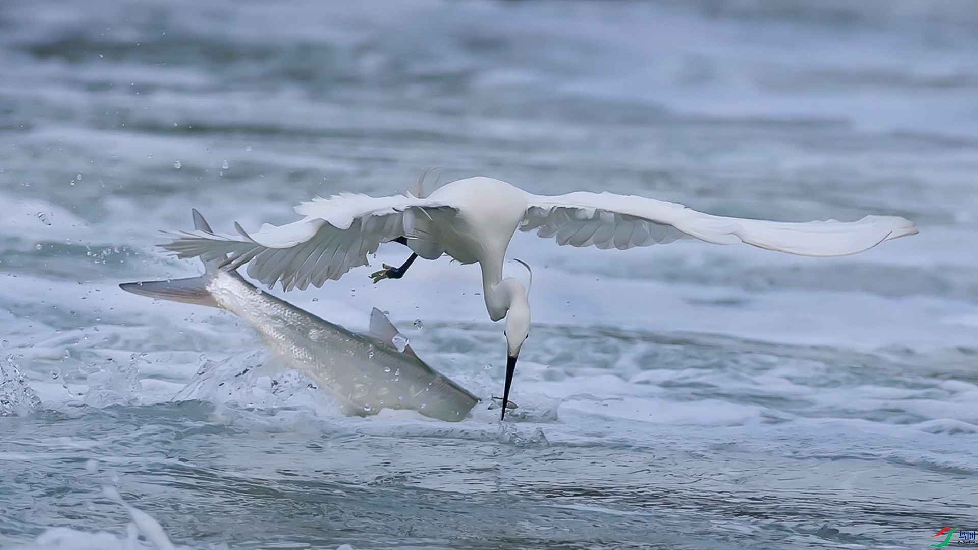 DSC_5724-1.jpg